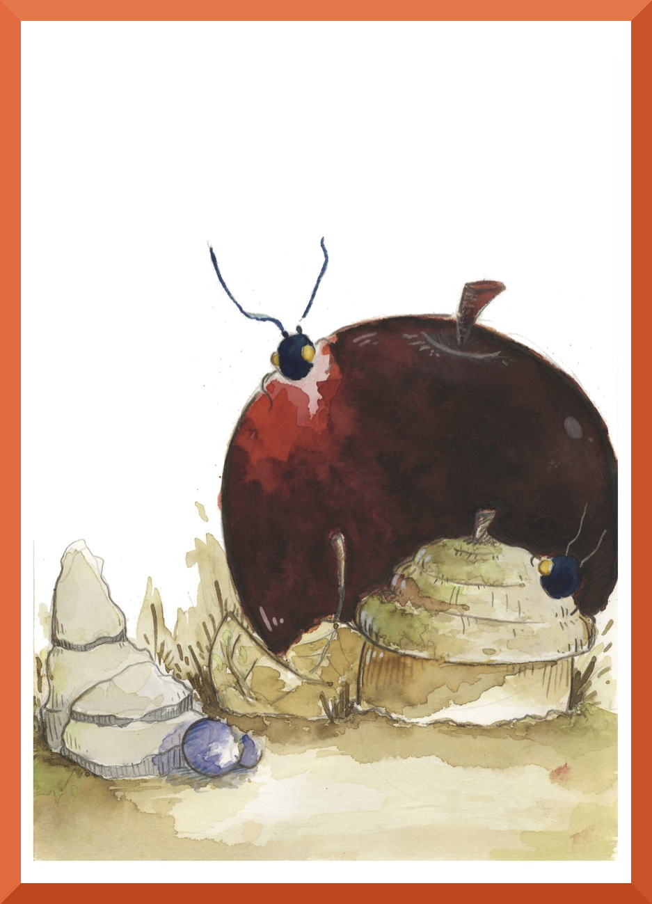 14.LES FRUITS2