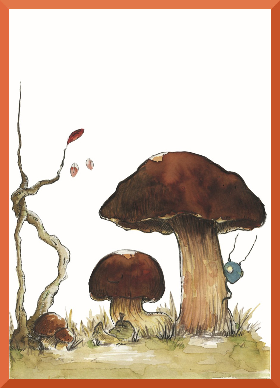 15.LES CHAMPIGNONS2
