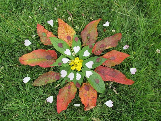 istockphoto-542817048-612x612