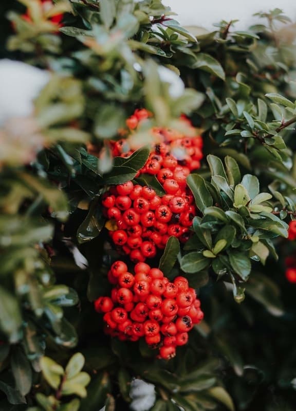 2021-12-14-10-29-03-576x799